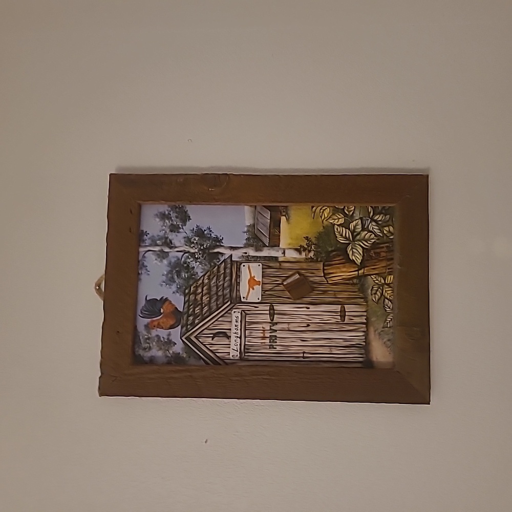 Longhorn picture of outhouse